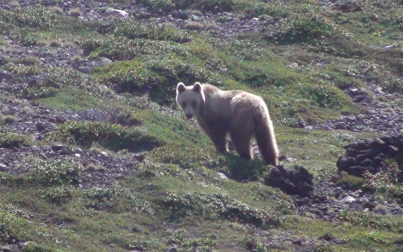 Плавание по Южным Курилам и немного Сахалина в июле 2008