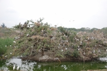 Очередной отзыв про королевство Таиланд (конкретика и эмоции)   25.01-18.02.2012