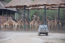 Очередной отзыв про королевство Таиланд (конкретика и эмоции)   25.01-18.02.2012
