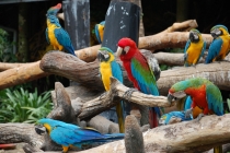 Очередной отзыв про королевство Таиланд (конкретика и эмоции)   25.01-18.02.2012