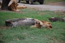 Очередной отзыв про королевство Таиланд (конкретика и эмоции)   25.01-18.02.2012
