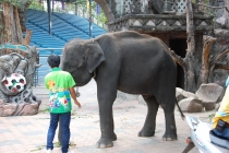 Очередной отзыв про королевство Таиланд (конкретика и эмоции)   25.01-18.02.2012