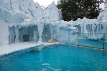 Очередной отзыв про королевство Таиланд (конкретика и эмоции)   25.01-18.02.2012