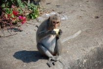 Очередной отзыв про королевство Таиланд (конкретика и эмоции)   25.01-18.02.2012