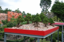 Очередной отзыв про королевство Таиланд (конкретика и эмоции)   25.01-18.02.2012