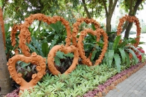 Очередной отзыв про королевство Таиланд (конкретика и эмоции)   25.01-18.02.2012