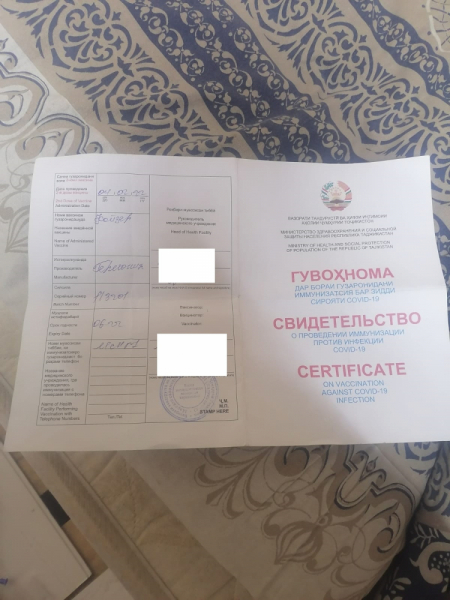 Поезд Аллегро: Санкт-Петербург - Хельсинки