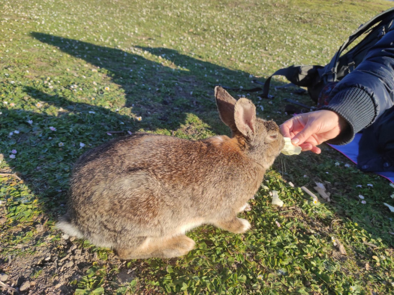 La mia vita. Римские записки, дневник онлайн