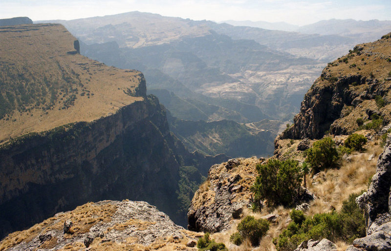 Эфиопия. Треккинг в горах Сымен и города севера, февраль 2006