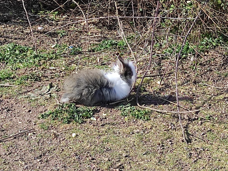 La mia vita. Римские записки, дневник онлайн