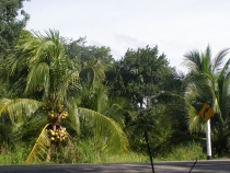 Пишу отчетик о Таиланде.