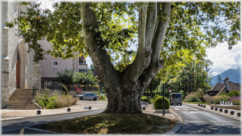Veyrier-du-Lac - Saint Bernard