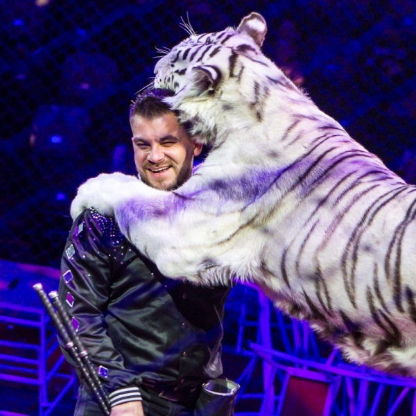 Рязанское ассорти: февраль-март-май 2021.