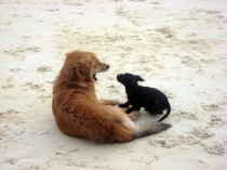 Пишу отчетик о Таиланде.