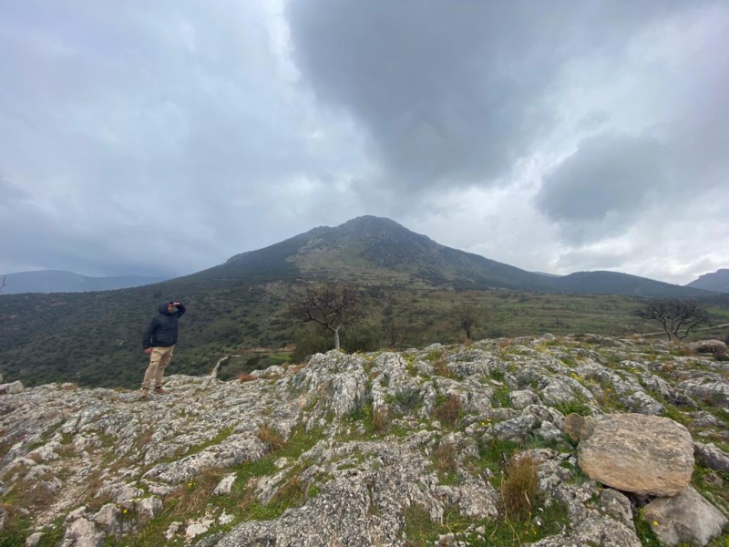 Mycenae, Греция