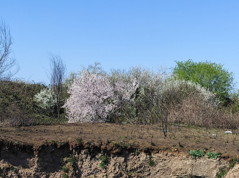 La mia vita. Римские записки, дневник онлайн