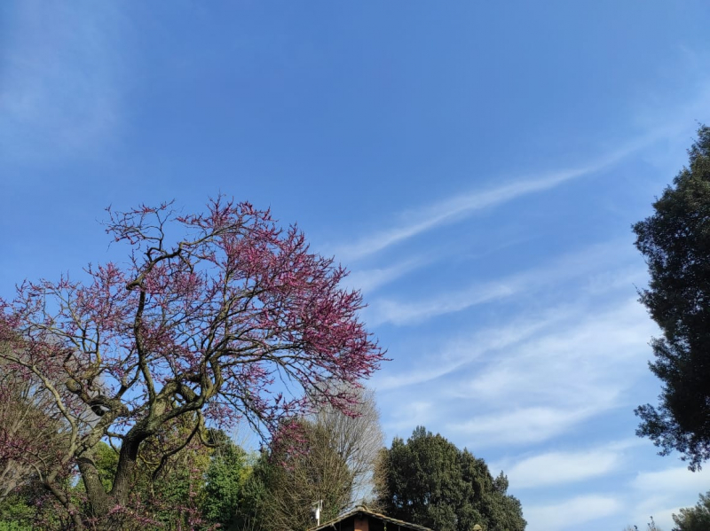 La mia vita. Римские записки, дневник онлайн