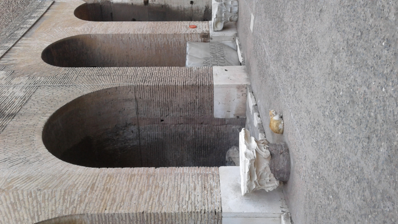 La mia vita. Римские записки, дневник онлайн