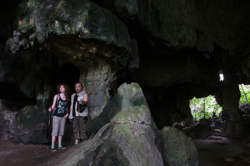 Путешествие зоолога с женой по паркам Малайзии в ноябре 2012