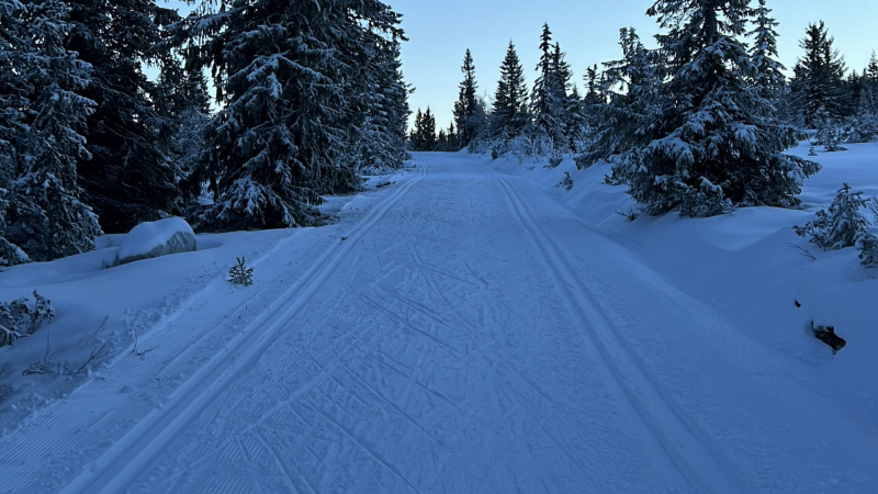 Почти вся Норвегия с юга на север на беговых лыжах на 2022 Новый год.