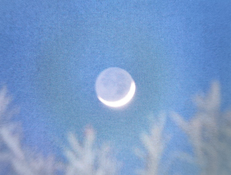 La mia vita. Римские записки, дневник онлайн