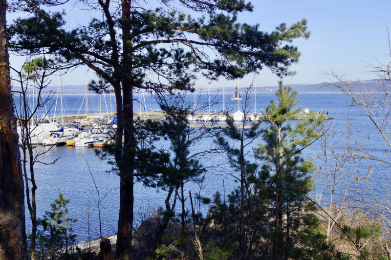 Пока мы ждем..