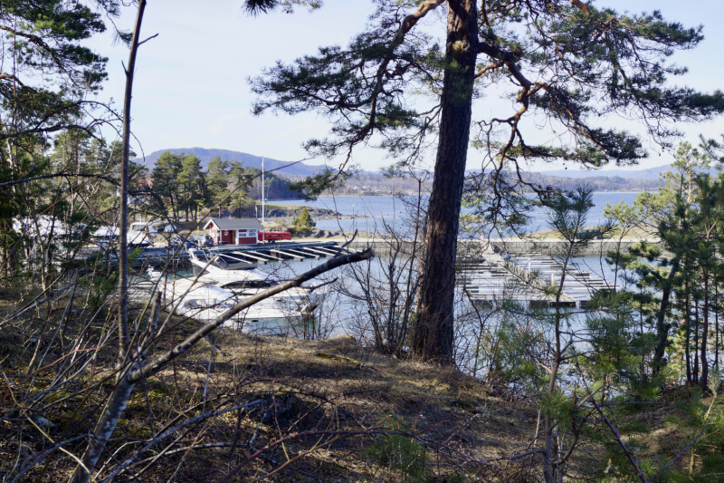 Пока мы ждем..