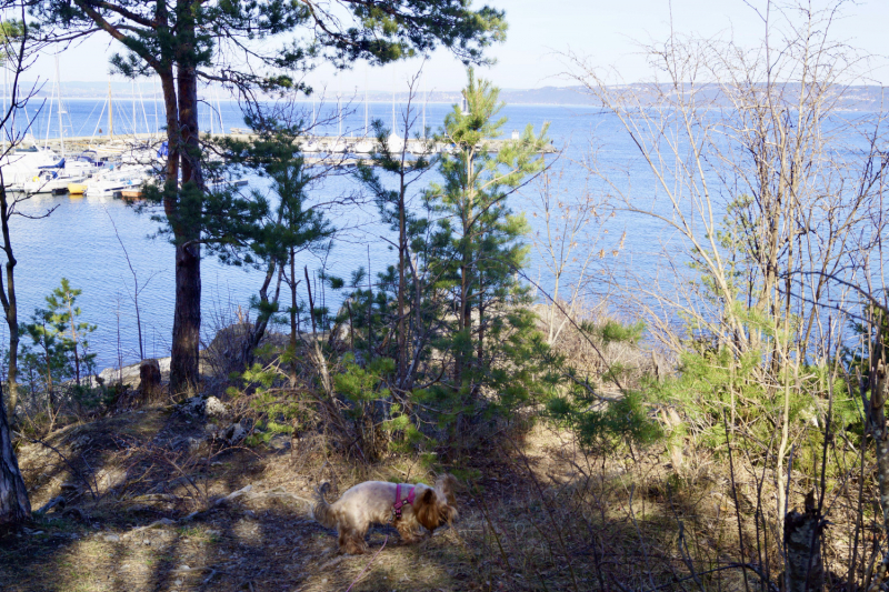 Пока мы ждем..