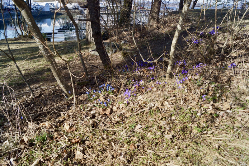 Пока мы ждем..