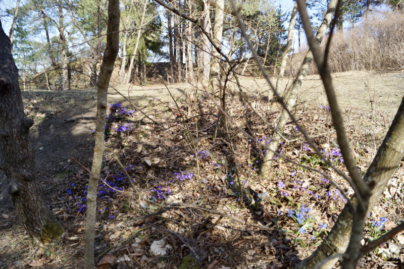 Пока мы ждем..