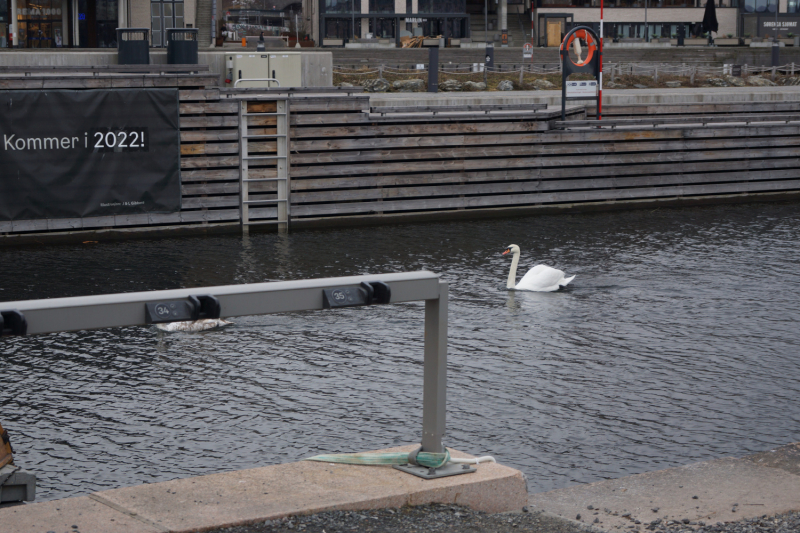 Пока мы ждем..