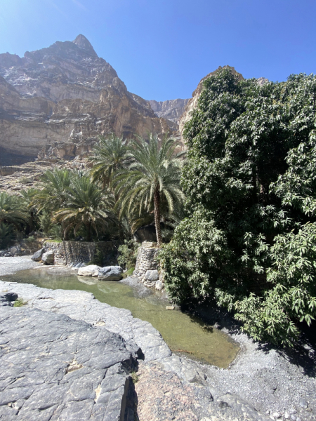 Дромоманы в Омане (от Маската до Салалы через Руб-эль-Хали)