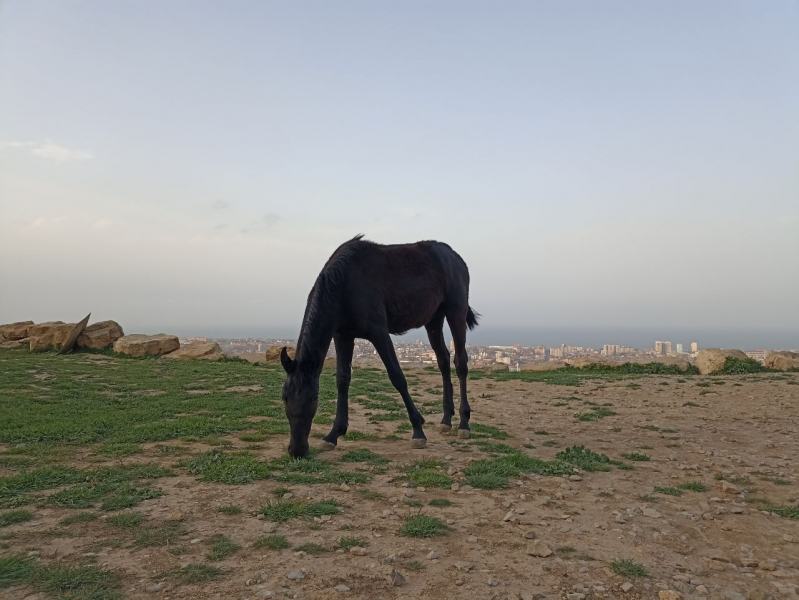 Дагестан 2022