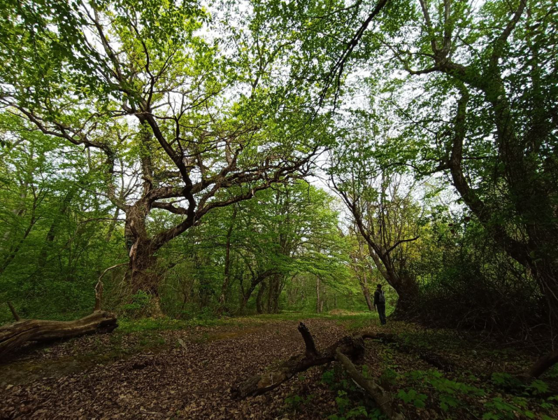 Дагестан 2022