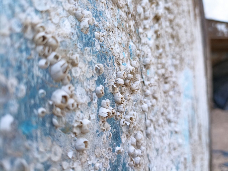 Дагестан 2022