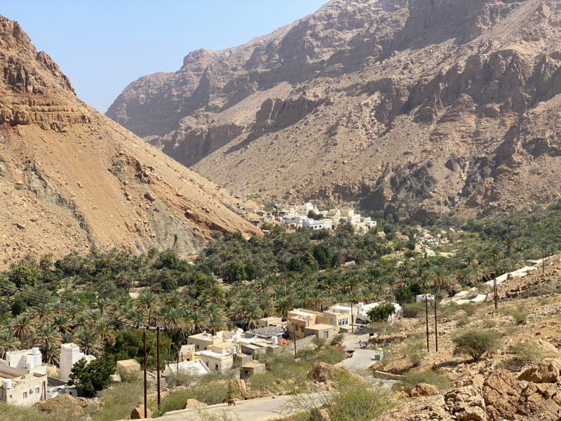 Дромоманы в Омане (от Маската до Салалы через Руб-эль-Хали)
