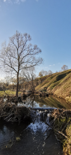Первые майские '22