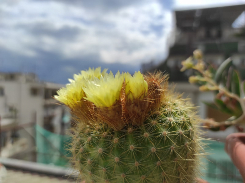 La mia vita. Римские записки, дневник онлайн