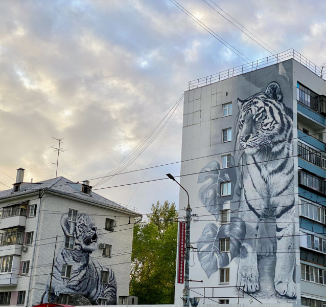 Кошки в нашей жизни. Кошки и все, что с ними связано.