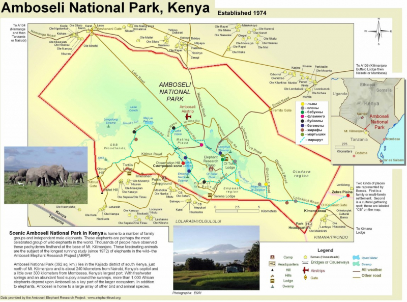 Кения. 24 февраля – 11 марта 2022 года