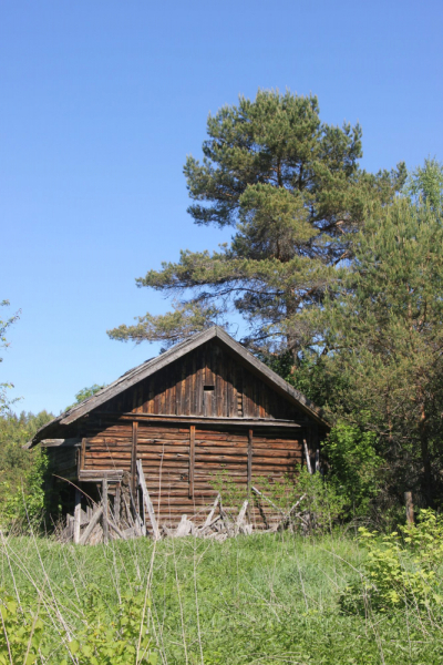 Венгино