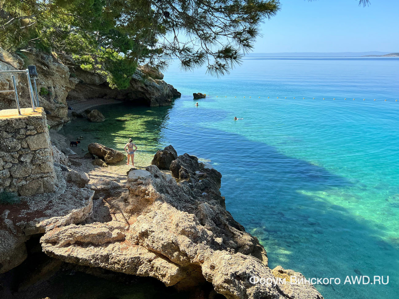 Башка Вода фото