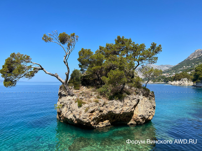 Башка Вода фото