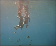 Красное море, Эйлат