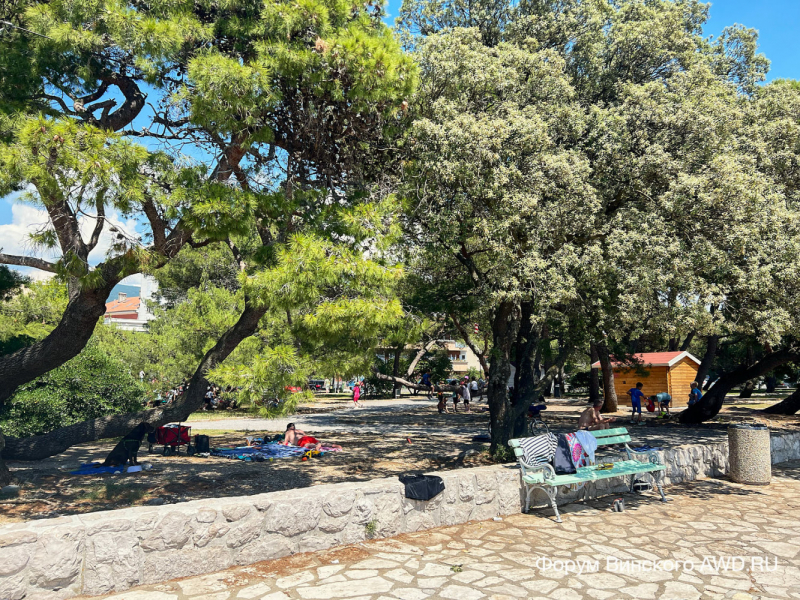 Цриквеница 2022