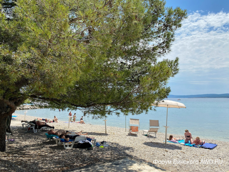 Цриквеница 2022