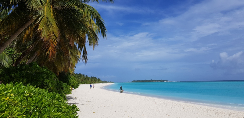 Домик на берегу моря хоть на неделю - Sun Island Resort, май 2022