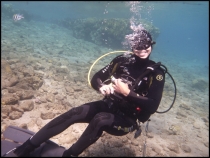 Красное море, Эйлат