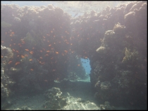 Красное море, Эйлат