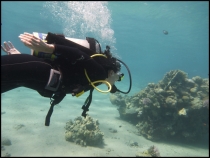 Красное море, Эйлат